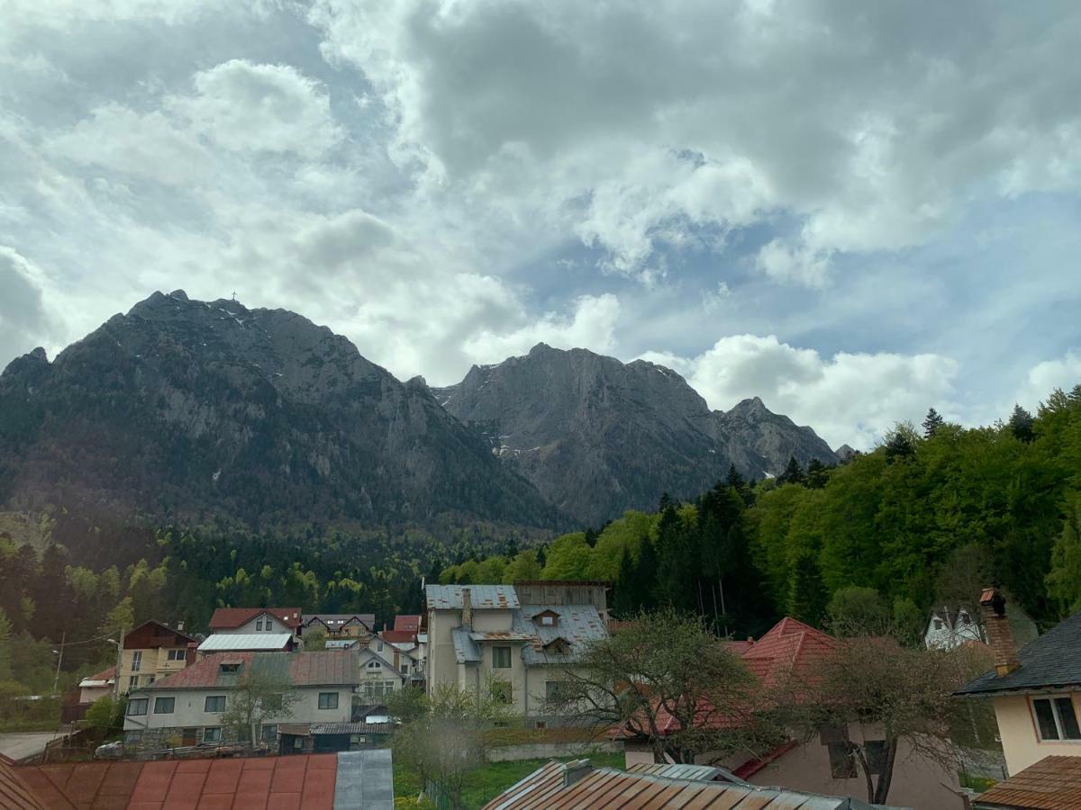 Vila Curcubeu Ξενοδοχείο Buşteni Εξωτερικό φωτογραφία